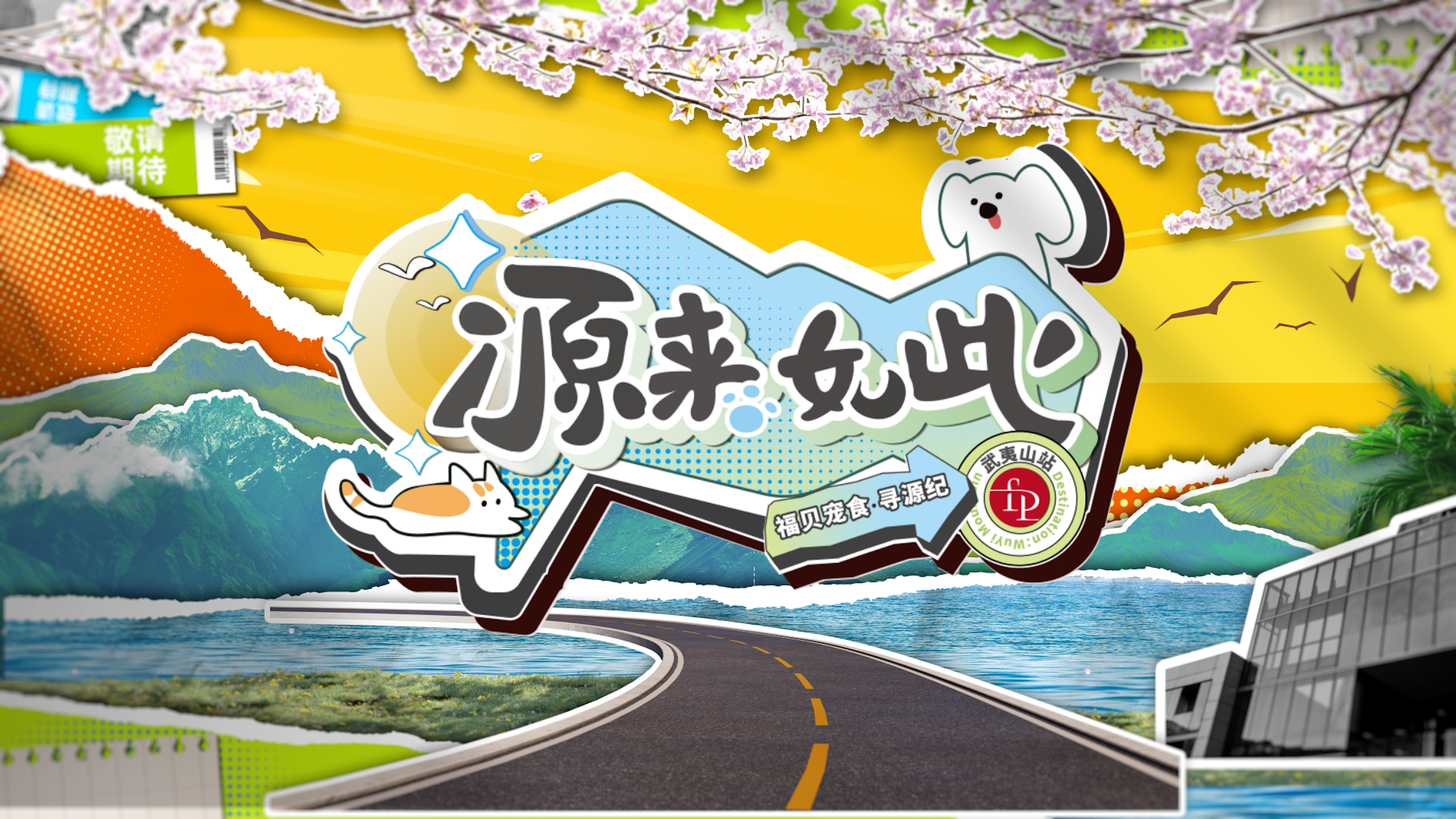 打破常規(guī)，用生動(dòng)的方式傳遞價(jià)值——福貝寵食《尋源紀(jì)》微綜藝正式上線